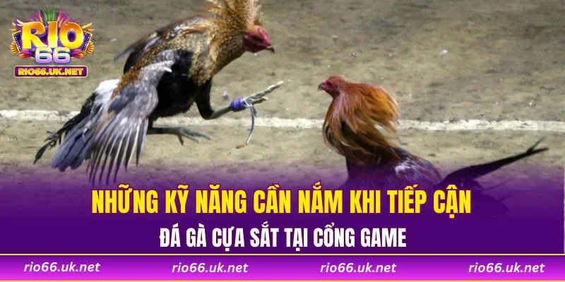 Những kỹ năng cần nắm khi tiếp cận đá gà cựa sắt tại cổng game